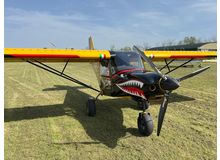 ICP - Savannah S - I-B455